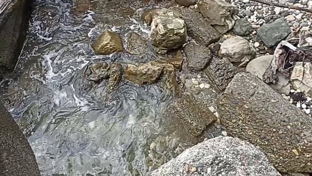 9.Снова на зиму в Абхазию. День девятый, 15.10.2024.Прогулка куда глаза глядят смотреть онлайн