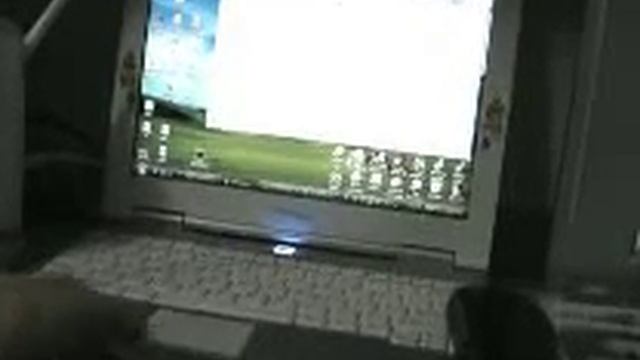 cool transparent windows смотреть онлайн