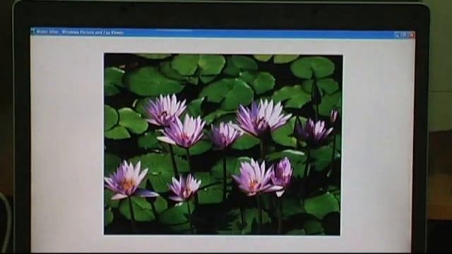 evolution of windows desktop background смотреть онлайн