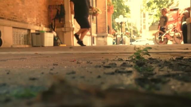 WDK Oso смотреть онлайн