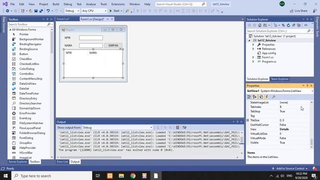 C# Windows Forms App - 12 ListView