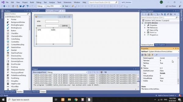C# Windows Forms App - 12 ListView