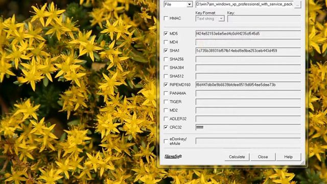 check md5 смотреть онлайн