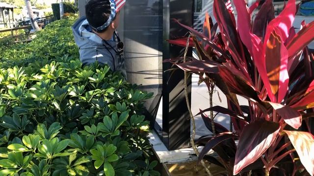 Protect your picture window before a hurricane hits смотреть онлайн