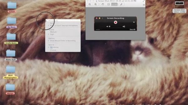 How to Audio on QuickTime Player mac