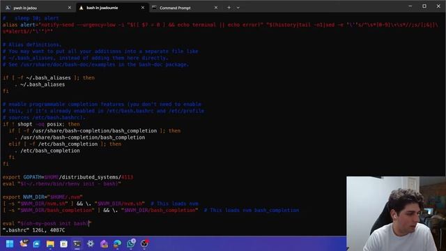 How to Customize WSL & CMD in Windows Terminal with Oh My Posh! смотреть онлайн