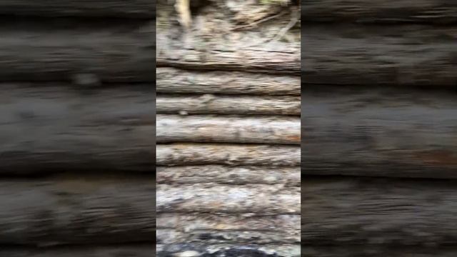 Блиндаж вермахта до сих пор цел. смотреть онлайн