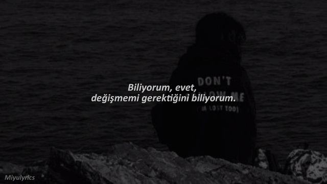 Landon Tewers - Need To Change (Türkçe Çeviri) смотреть онлайн
