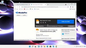 .net Framework 3.5 Windows 11 Installation Error