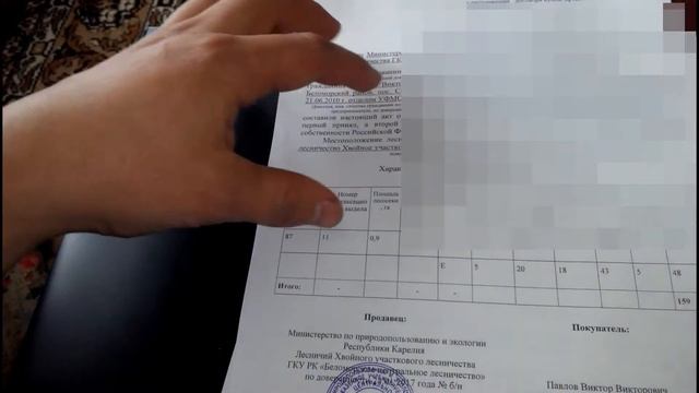 Поучительная история про документы на бесплатный лес смотреть онлайн