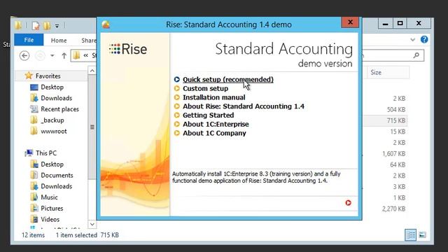 Rise: Standard Accounting Demo Setup смотреть онлайн