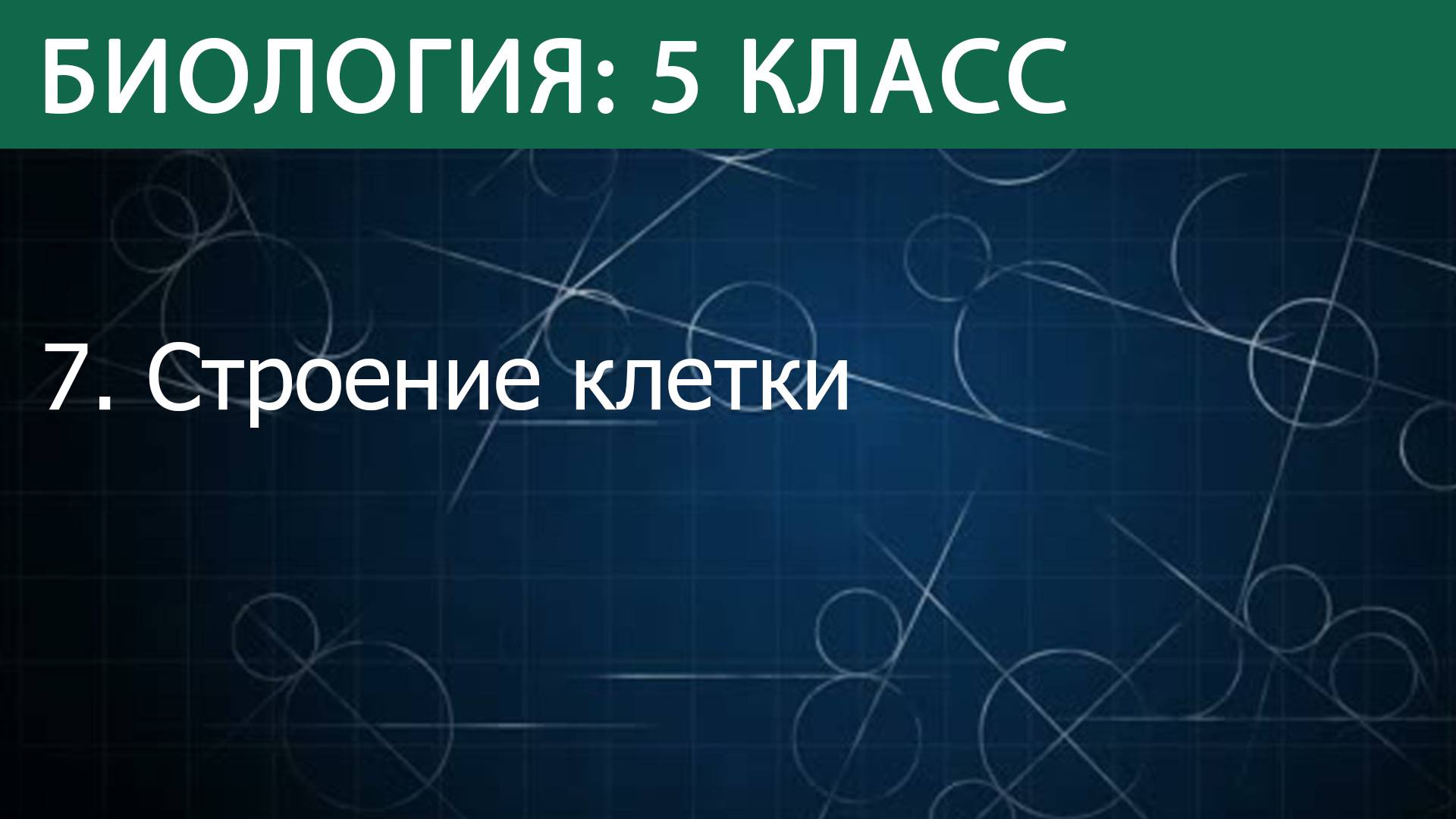 Биология 5 класс: Строение клетки смотреть онлайн