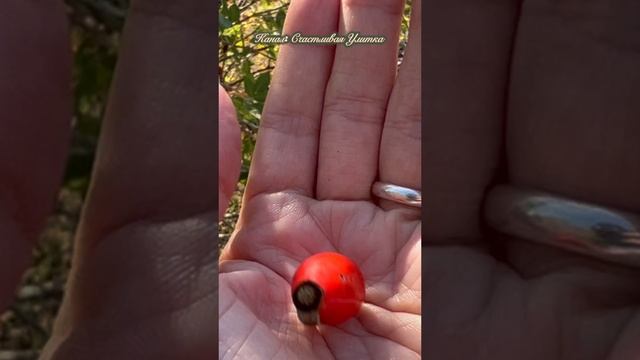 Поездка в деревню смотреть онлайн