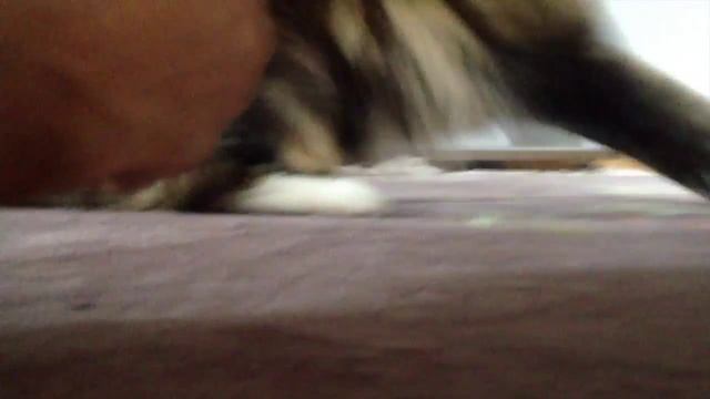 Sheldon's Having Fun