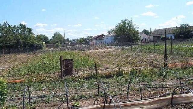 Получили 200 000 рублей от государства на ведение личного подсобного хозяйства. Социальный контракт. смотреть онлайн