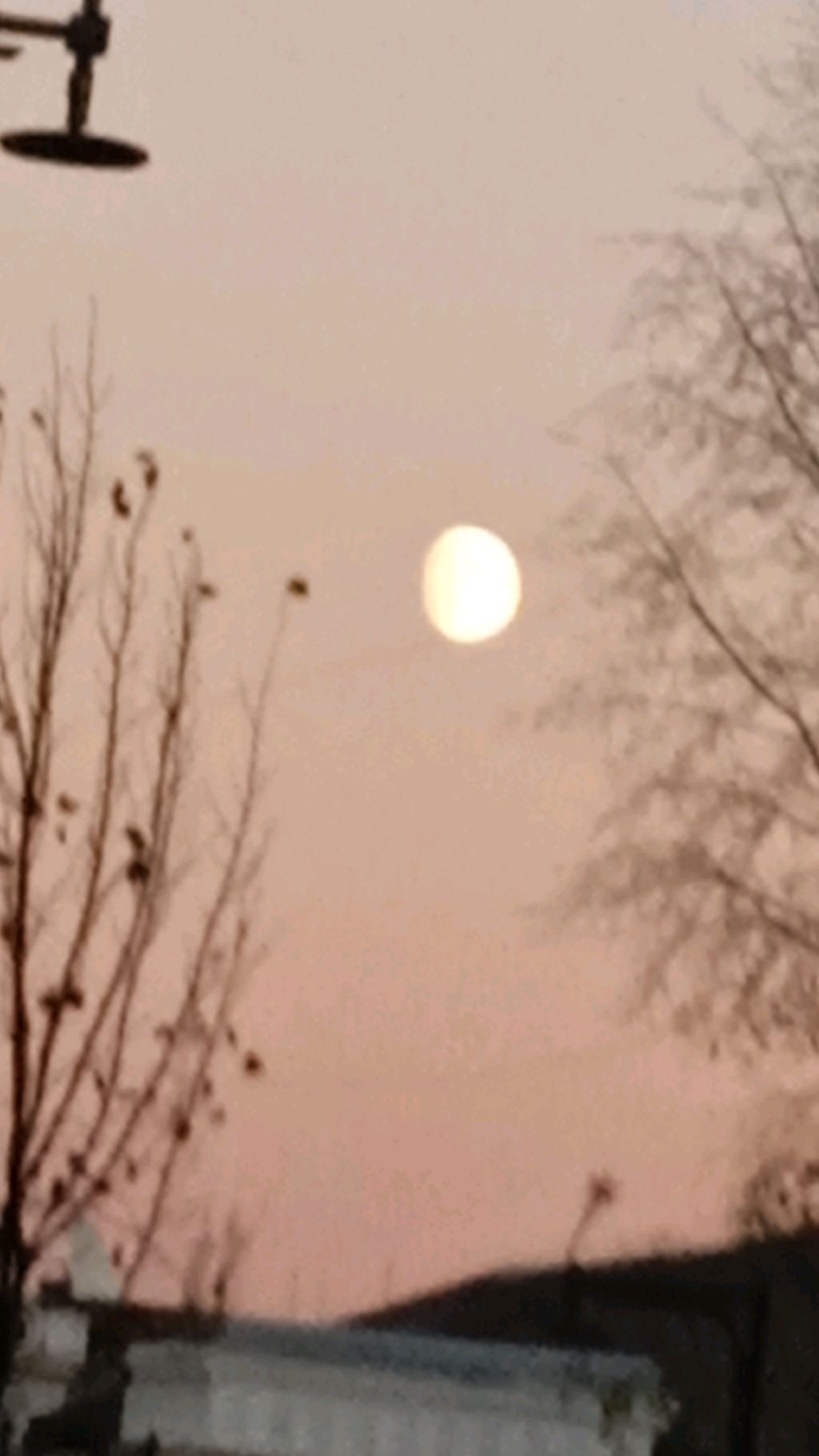 танцуй если знаешь этот тренд 2024 года танцуем смотреть онлайн