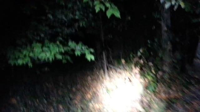 Active Sasquatch Area Night Investigation No Light Experiment We Saw Something And Growl @14:00 #81 смотреть онлайн