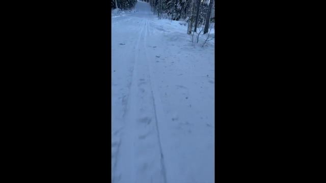 Костомукша лыжная трасса / Kostomuksha ski track смотреть онлайн
