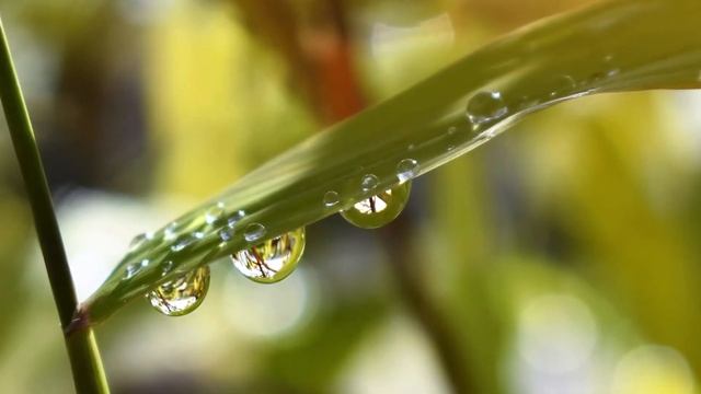 Top 100 Rain Wallpapers !! Download Now !! смотреть онлайн