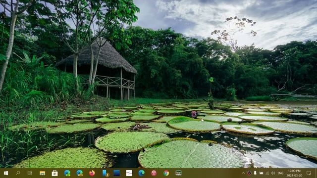 Windows 10 Get another printer fixing cumulative update March 20th 2021 смотреть онлайн