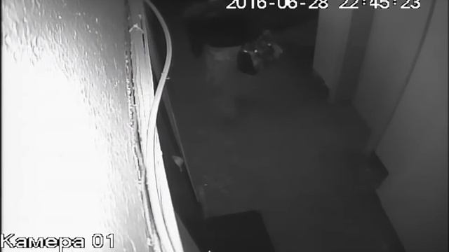 2016.06.28 Пришла в 22:40, звонила в дверь смотреть онлайн