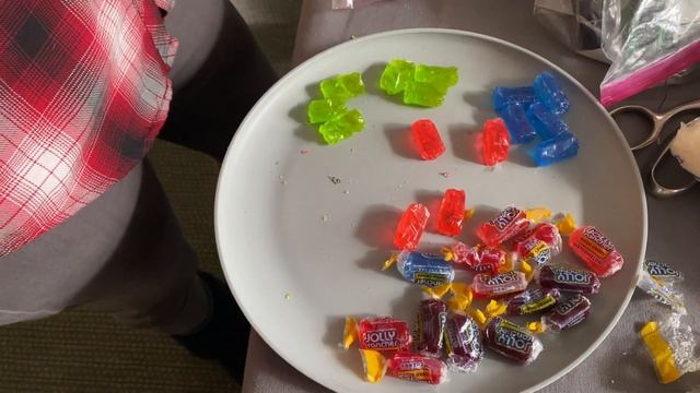 Using Jolly Ranchers to make stained glass windows for our gingerbread houses смотреть онлайн