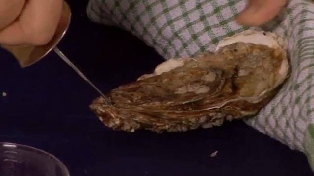 How to Shuck an oyster - GoodFood.com - BBC Food смотреть онлайн