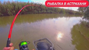 Я В ШОКЕ ОТ РЫБАЛКЕ В АСТРАХАНИ!!! Не могу удержать его ловля сазана на донку.