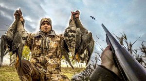 Добыл гусей осенью! Мне опять повезло! Охота на гуся 2024