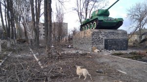 Волноваха февраль-март 2022