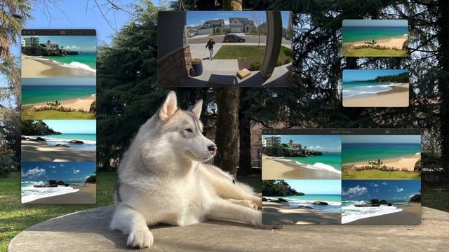 GlanceCam 4, the best IP camera viewer for Mac смотреть онлайн