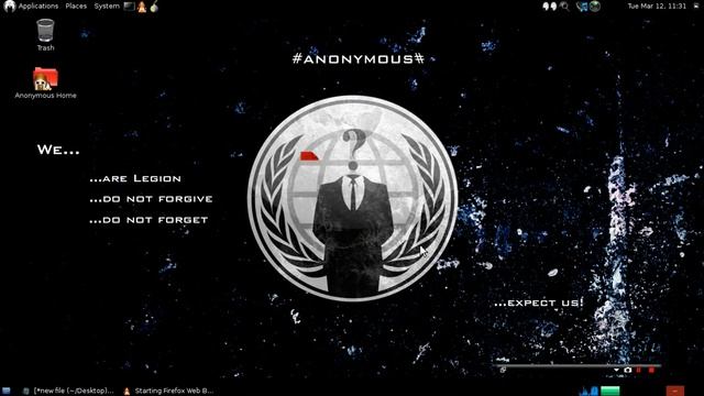 Anonymous OS установил на Виртуалку