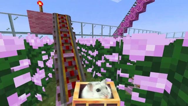 Hamster in Roller Coaster 🌺 PINK FLOWERS MAZE in Minecraft 🌸 смотреть онлайн