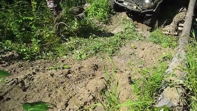 медвежуть-13.AVI смотреть онлайн