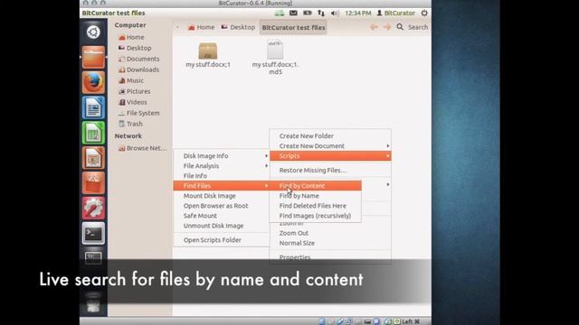 Data Triage with Nautilus Scripts in BitCurator смотреть онлайн