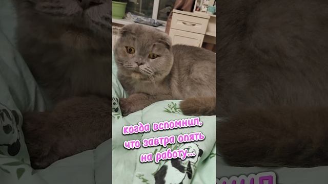 Светлана Тарасова