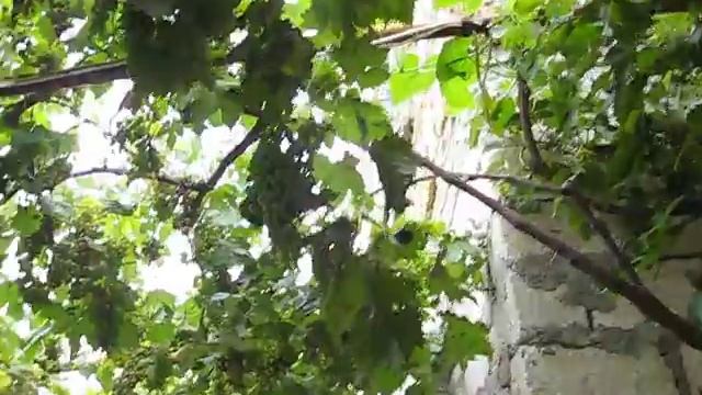 Наше пристанище в Феодосии смотреть онлайн