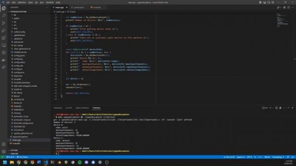 Capture Audio in C++ (Linux, PortAudio)
