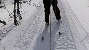 Как узбеки в апреле на Кольском  грибы собирали.