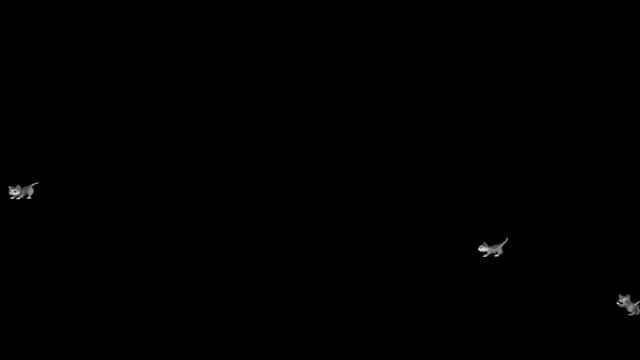 Kitties chasing butterflies on windows 98 - After Dark 10th Anniversary "Boris" screen saver смотреть онлайн