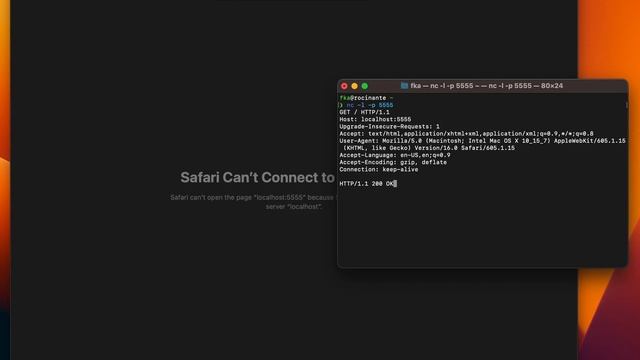 simplest web server with netcat смотреть онлайн