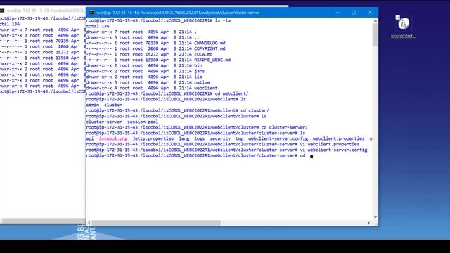 WebClient Clustering смотреть онлайн