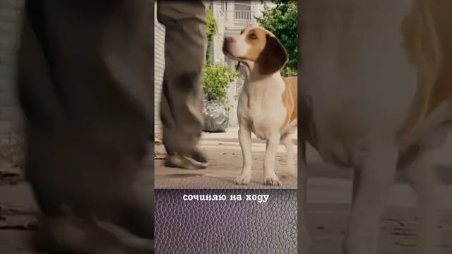 Ты собака моя – Наталия Лансере смотреть онлайн