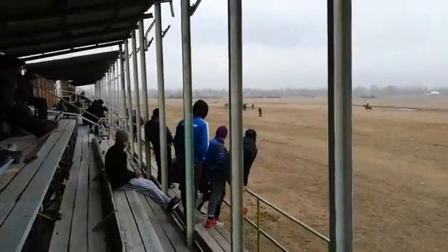 Тай жарыш. Талас ипподром .8.3.2019. смотреть онлайн