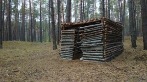 Строим дом в Лесу | 3 Часть