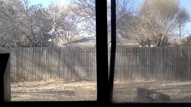 LC jumping up in front of my office window смотреть онлайн