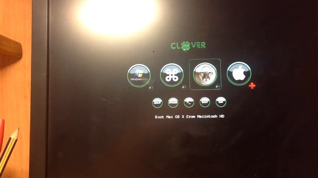 Clover смотреть онлайн