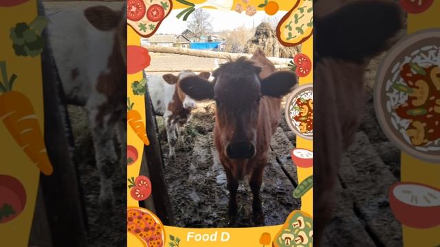 Веганам не смотреть смотреть онлайн