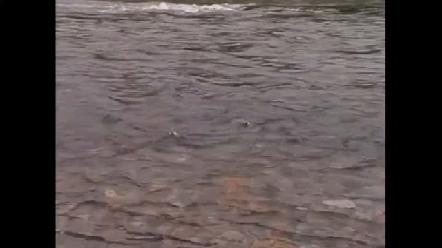 Магадан 2000 смотреть онлайн