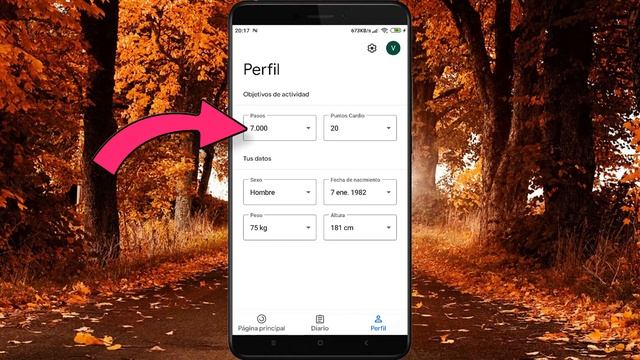 Videotutorial para personas mayores: ¿Como utilizar la app Google Fit? смотреть онлайн